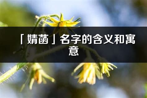 菡名字意思|菡字取名的寓意